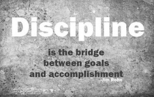 discipline